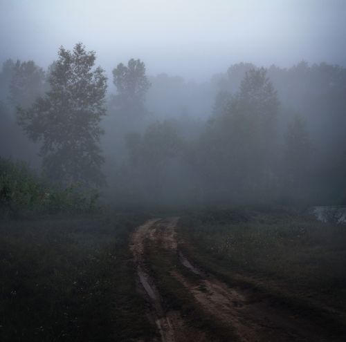 morning fog road