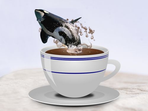 illustration morning coffee