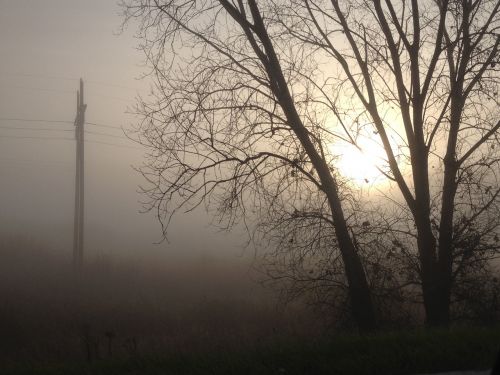 morning fog sun