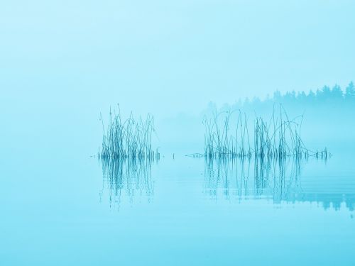 morning mist lake