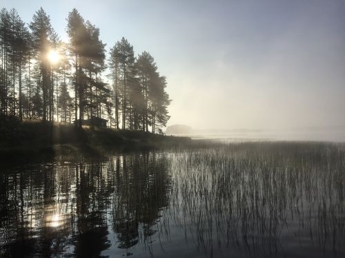 morning fog mist