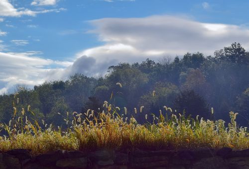 morning stone wall sunlight