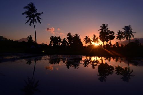 morning landscape nature