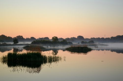 morning water nature