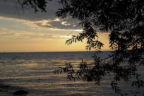 morning  lake  light