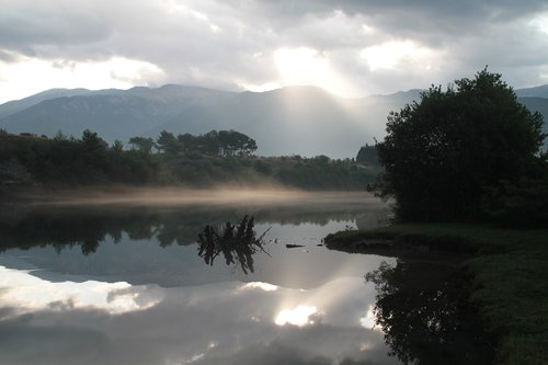 morning  fog  nature