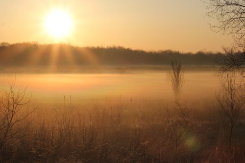 morning fog sun sunrise