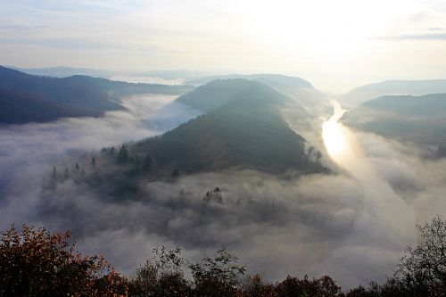 morning mist river landscape saar loop