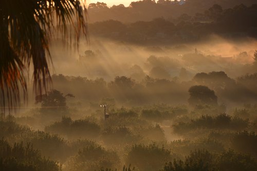 morning mist  fog  mallorca