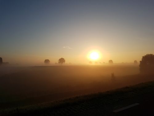 morning sun fog nature