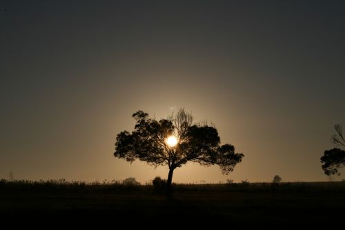 morning sun sky sunrise