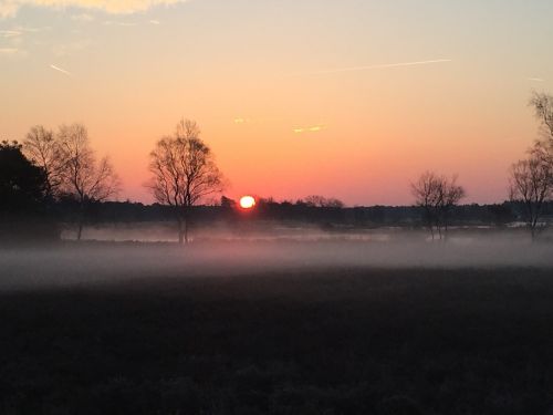 morning sun nature landscape