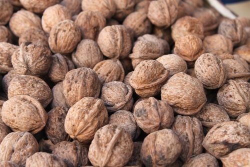 morocco nuts seeds