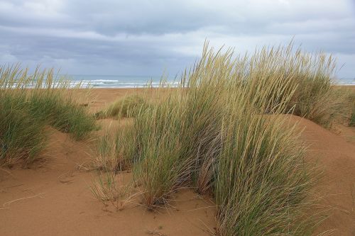 morocco sea the sand dunes