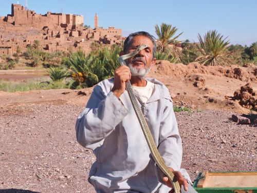 morocco puppeteer of snake travel
