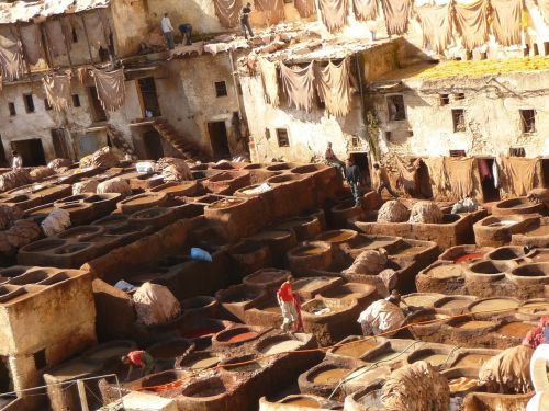 morocco skins the tannery