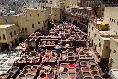 morocco  the tannery  skin