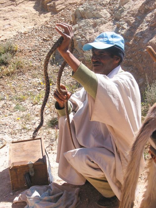morocco snake charmer snake