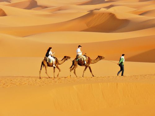 morocco desert dunes
