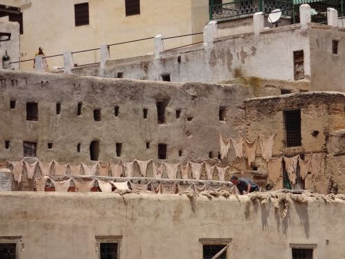 morocco tannery fez