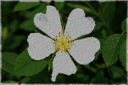 Mosaic Flower