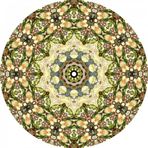 Mosaic In A Circle