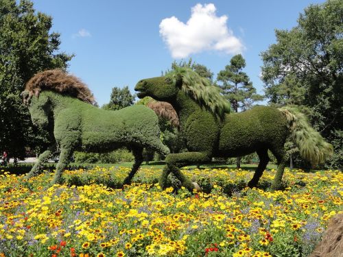 mosaiculture montreal plant horse