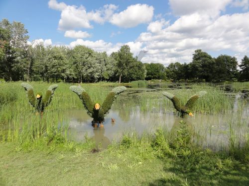 mosaiculture montreal plants duck