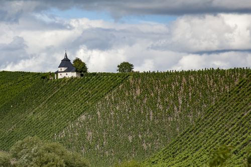 mosel vineyards chapel