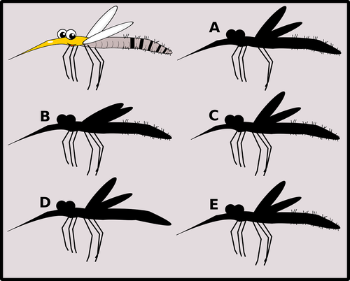 mosquito  puzzle  game