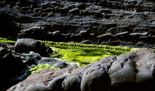 moss rock cliffs