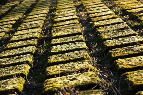 moss green stones