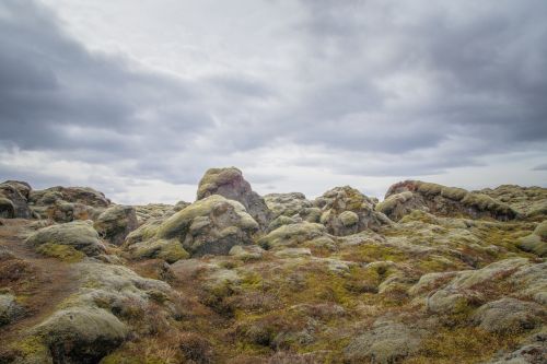 moss rock iceland