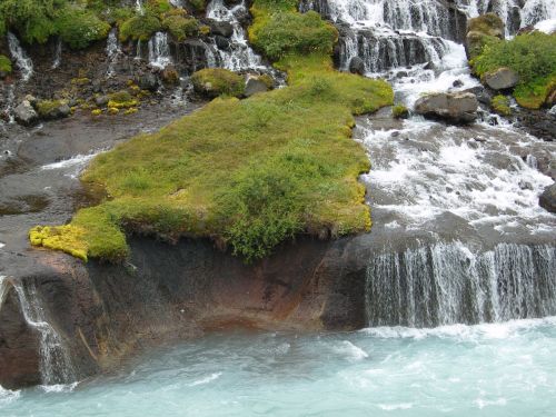 moss water iceland