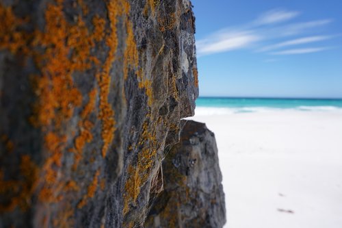 moss  beach  rock