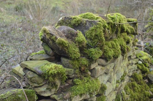 moss  stone  wall