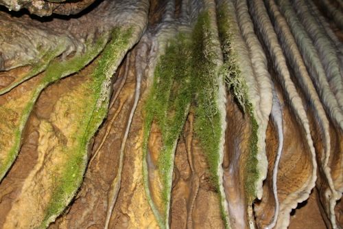 moss limescale cave