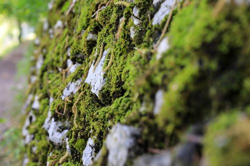 moss stone  moss rock  stone wall