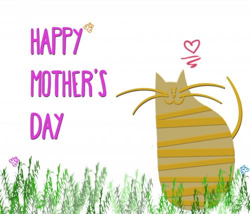 Mother&#039;s Day Cat Greeting Card