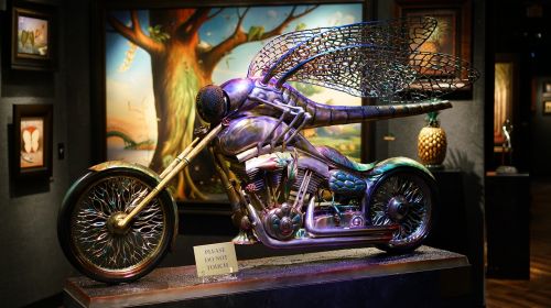moto gallery dragonfly