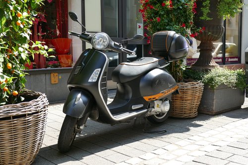 motor scooter  vespa  moped