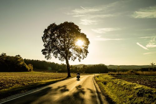 motorcycle tree sunset