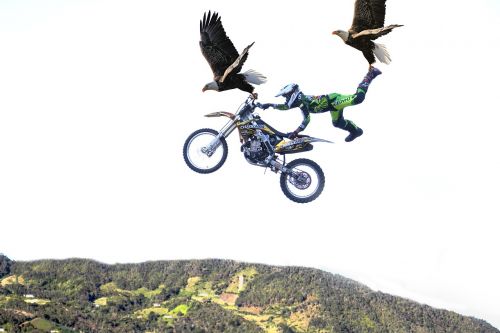 motorcycle eagle cross