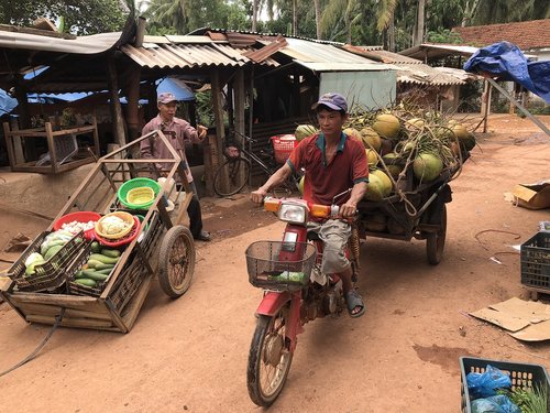 motorcycle  bike  coconut