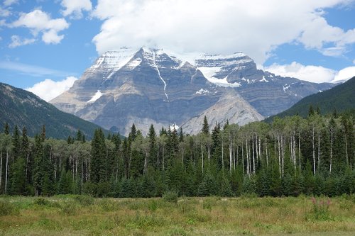 mount  robson  nature