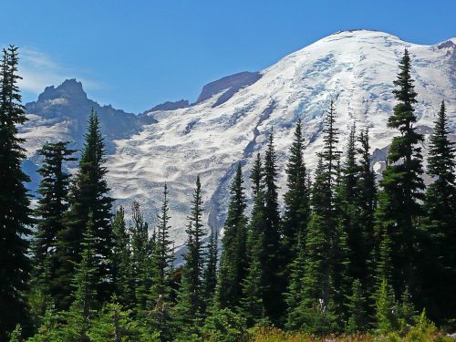 mount rainier beautiful