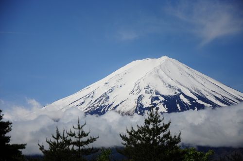 mount fuji landscape fuji