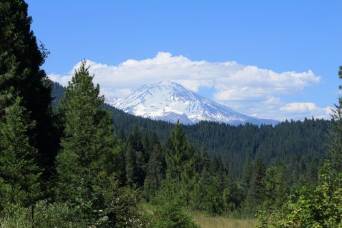 mount shasta mountain california
