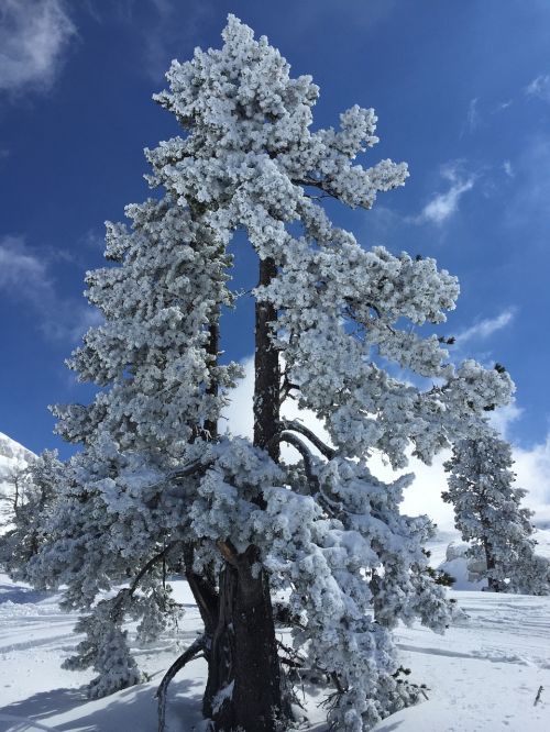 mountain snow winter