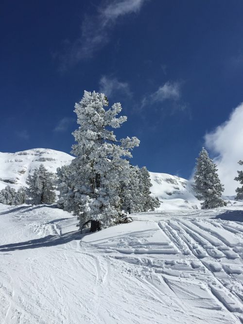 mountain snow winter